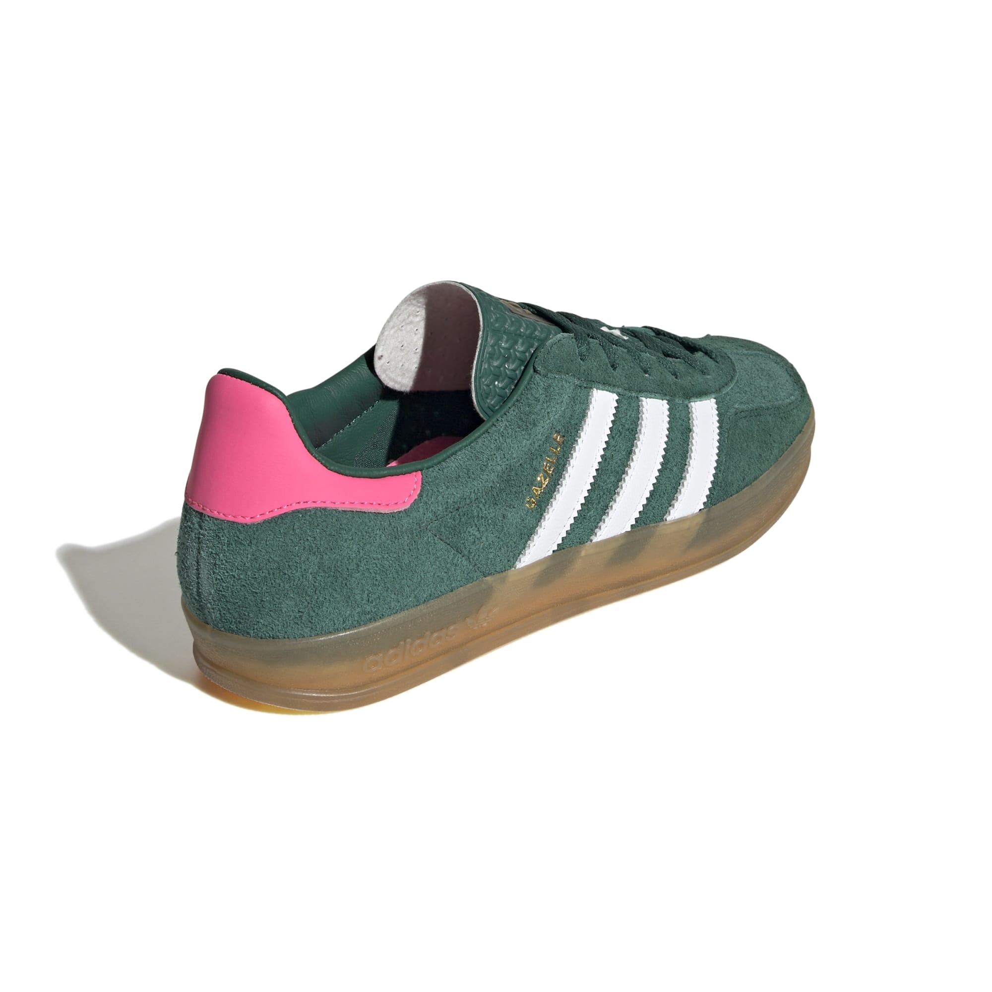 Gazelle Indoor