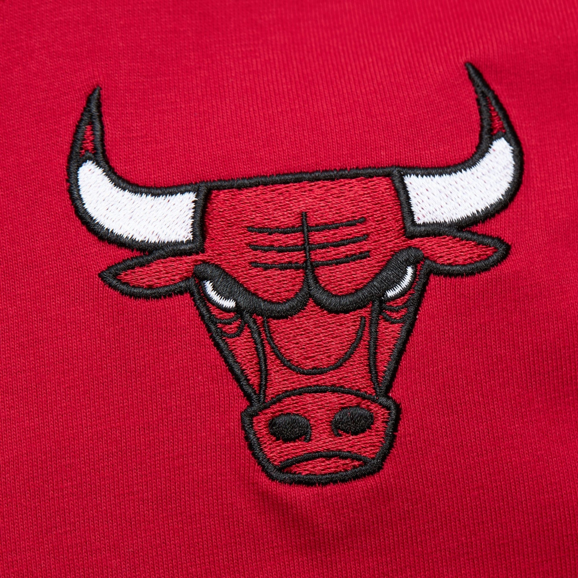 Team OG 2.0 Premium SS Tee Vintage Chicago Bulls