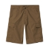 Shorts Cargo