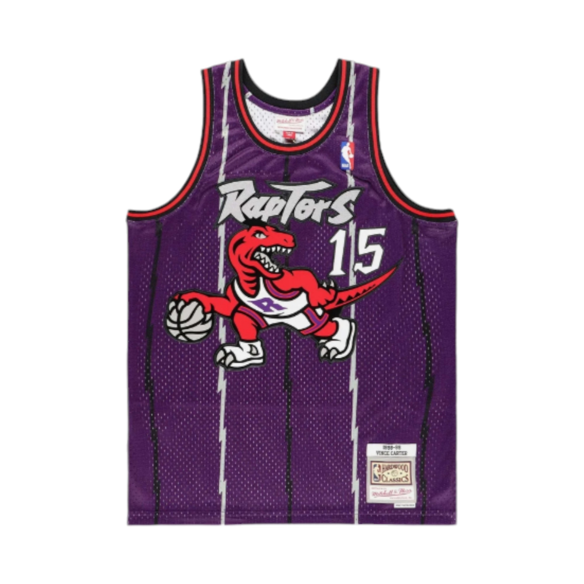 SWINGMAN JERSEY  TORONTO RAPTORS