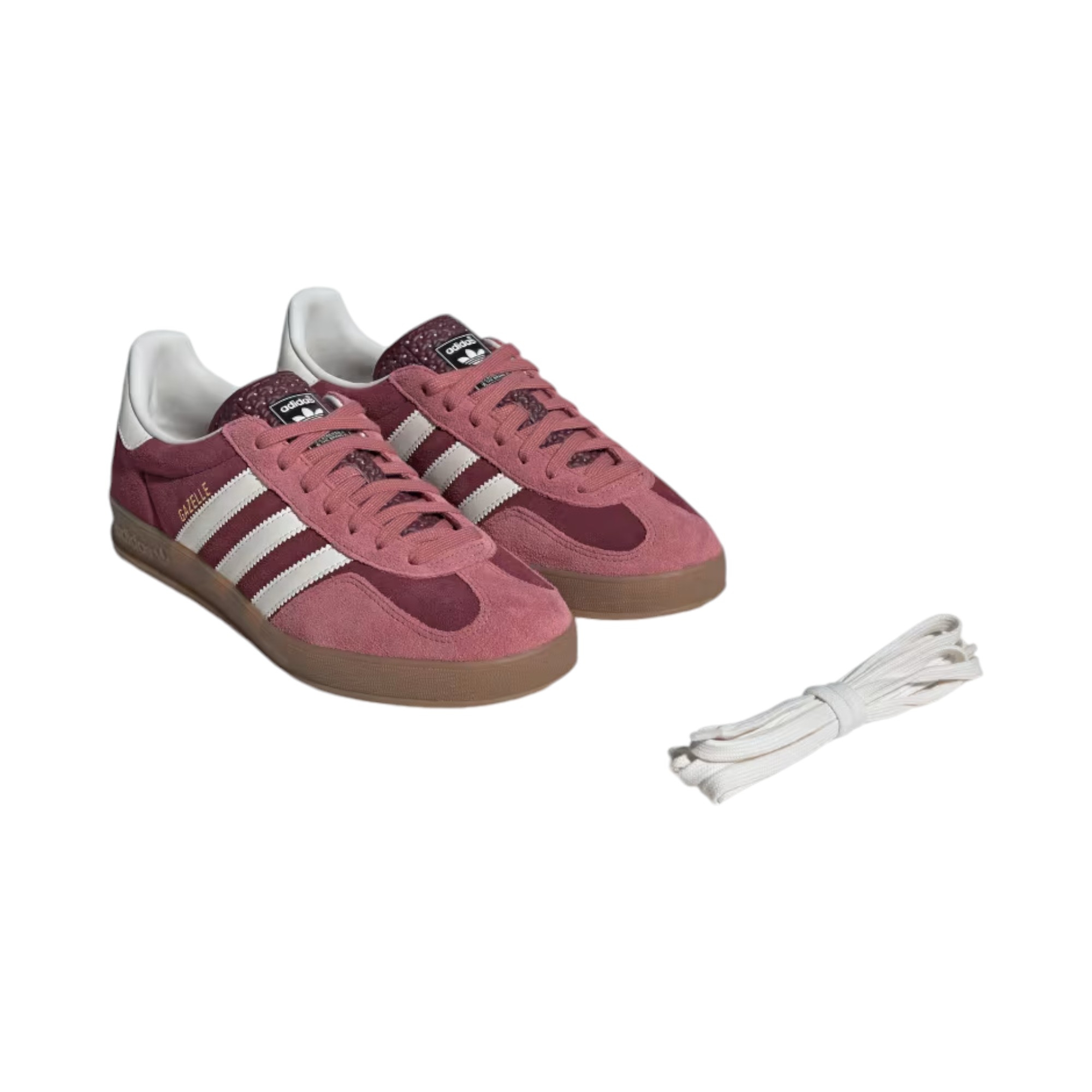 Gazelle Indoor 